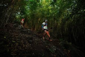 BIB: 
                            <button type="button" onclick="openModal(25099556)" class="btn btn-primary btn-sm float-right btn-popup" data-toggle="modal" data-target=".modal-high-quality">
                        <i class="fas fa-shopping-cart"></i> Add to Cart
                    </button>
                                            <button type="button" onclick="isThisMe(25099556, true)" class="btn btn-success btn-sm float-right btn-popup btn-isme hidden" data-toggle="tooltip" data-placement="bottom" title="นี่คือรูปของคุณใช่ไหม คลิกที่นี่เพื่อเอาเข้าอัลบั้ม">
                        <i class="fas fa-plus"></i> Add to album
                    </button>
                    <button type="button" onclick="isThisMe(25099556, false)" class="btn btn-warning btn-sm float-right btn-popup btn-isnotme hidden">
                        <i class="fas fa-ban"></i> Remove from album
                    </button>